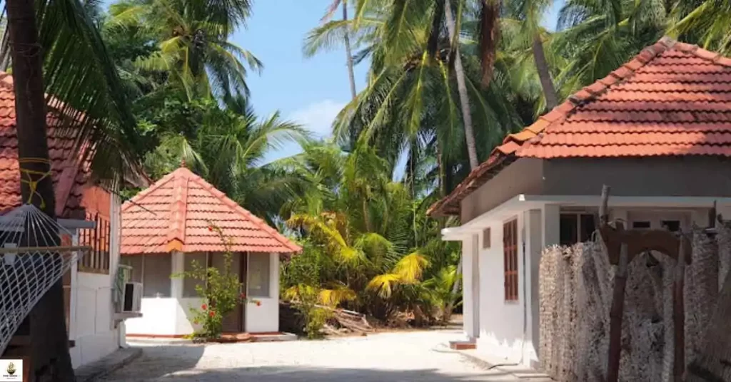 Vacation Spots: Best 6 Resorts in Lakshadweep for 2024